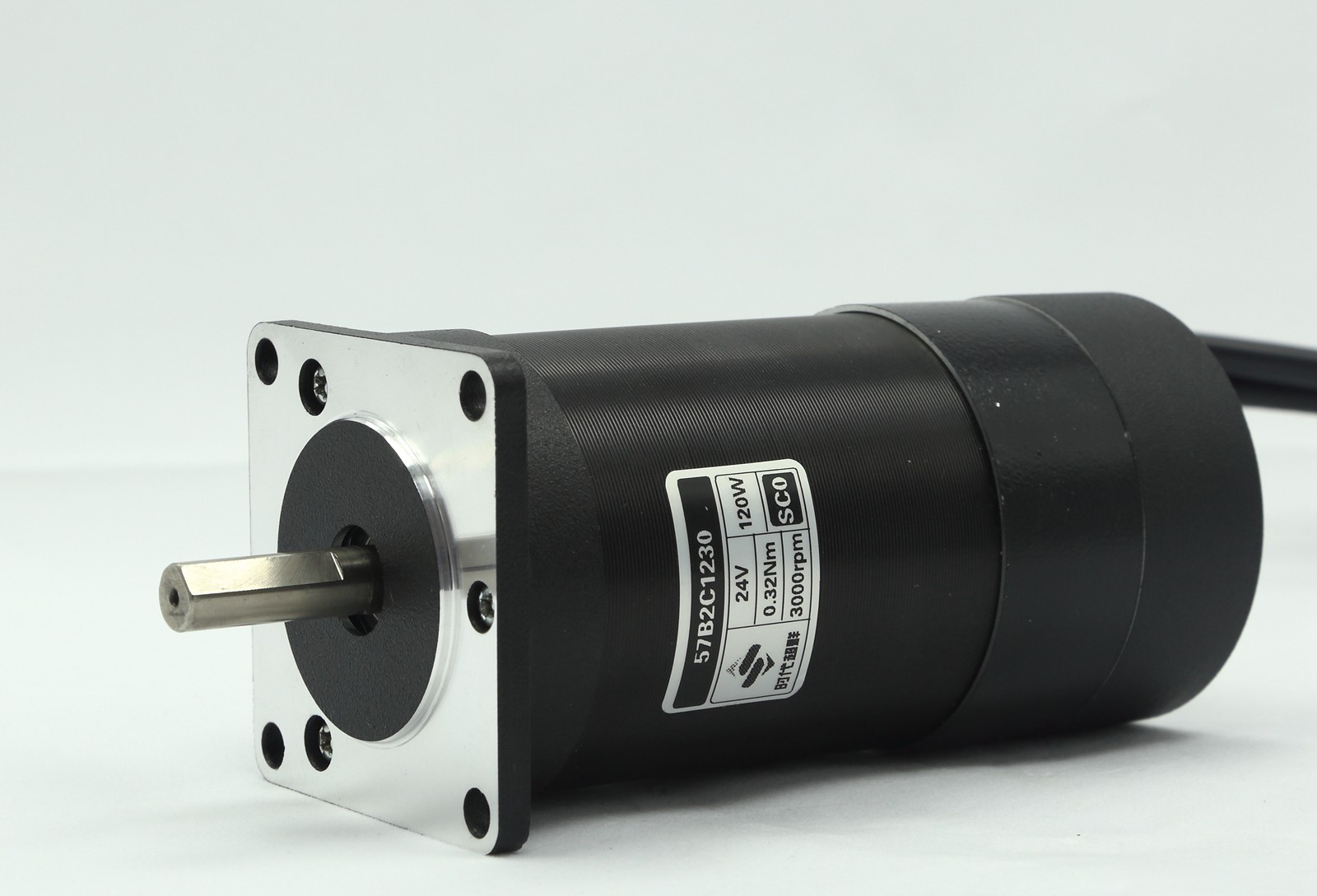 DPP_0062.jpg DPP_0062.jpg